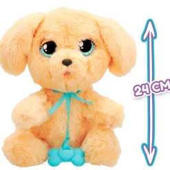 Baby Paws Labrador*IMC Online