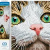 Diamond Dotz Diamond Painting Gato Ojos Verdes*MADNESS TOYS Sale