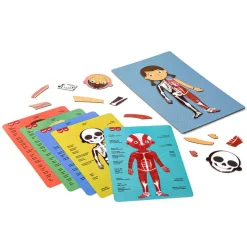 El Cuerpo Humano Juego Magnético*SELECCION DRIM Sale