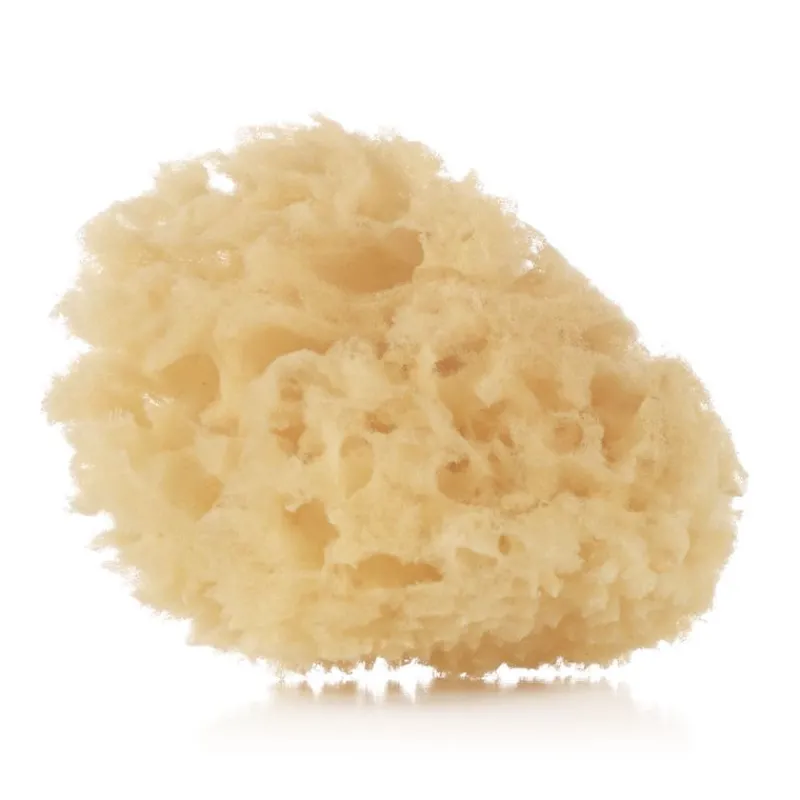 Esponja natural 2 unidades*JANE Online