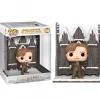 ! Harry Potter Remus Shrieking Shack*FUNKO POP Hot