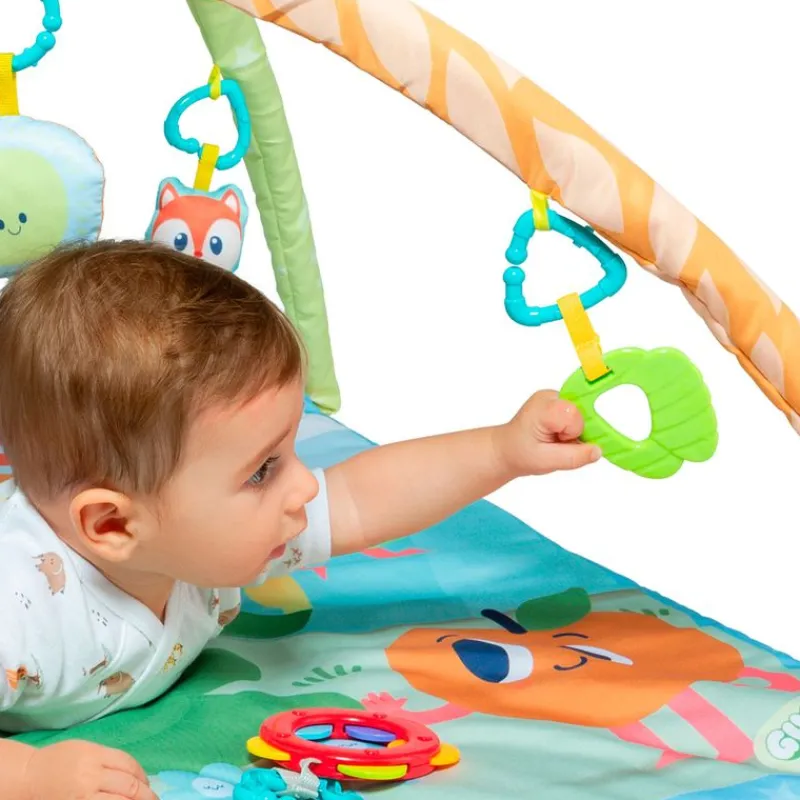 Gimnasio Manta Activity*MOLTO Discount