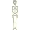 Halloween Esqueleto Fosforescente*FIESTAS GUIRCA Hot
