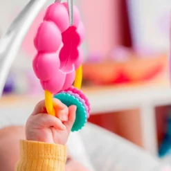 BRIGHT STARTS Hamacas Para Bebés-Hamaca Bebé 18 kg Rosy Rainbow