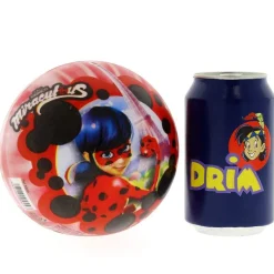 MUÑECAS SAICA Deportivos-Ladybug Pelota PVC de 14 cm