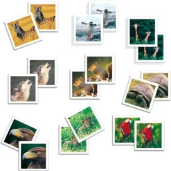 Memo Photo Animals*DISET Online