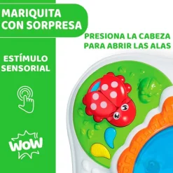 CHICCO Primera Infancia Y Preescolar-Mesa Descubrimientos