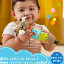 FISHER PRICE Primera Infancia Y Preescolar-Pets Perrito de Actividades con Sonidos y Giros