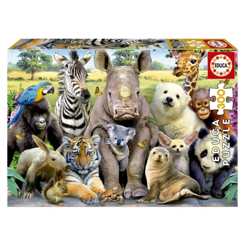 EDUCA Puzzles Y Construcciones-Puzzle 300 Piezas Foto de Clase
