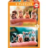 Puzzle Bebés Animales 2x20 Piezas*EDUCA New