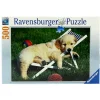 RAVENSBURGER Puzzles Y Construcciones-Puzzle Cachorros Golden Retriver 500 Piezas