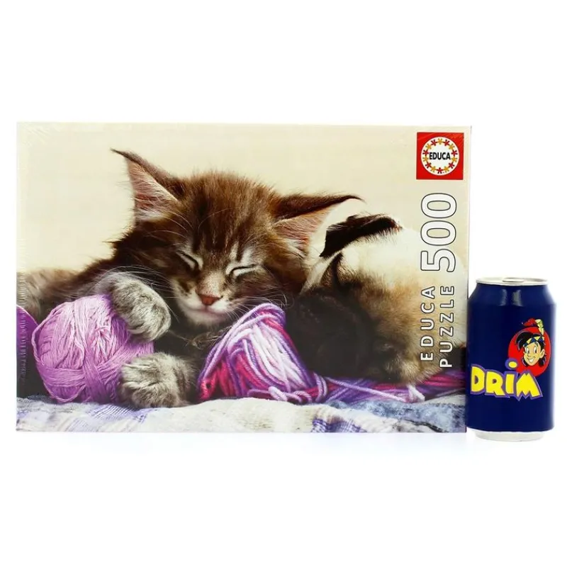 Puzzle Compañeros de Sueño de 500 Piezas*EDUCA Online