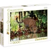 CLEMENTONI Puzzles Expertos: Más De 1000 Piezas-Puzzle Leopardo 2000 Piezas