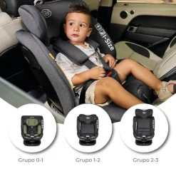 MS Sillas Con Isofix De 40 A 150 Cm (0 A 12 Años)-Silla coche Milos 40-150cm top tether Gris / Verde