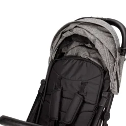 Silla paseo Minimum Plus Space +22kg Grey*INTERBABY
