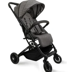 Silla paseo Voyage Trolley Gris*INTERBABY Best