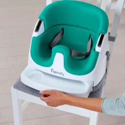 Trona ingenuity sobresilla Menta*BRIGHT STARTS Discount