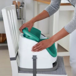 Trona ingenuity sobresilla Menta*BRIGHT STARTS Discount